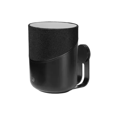 Bluesound WM230 in Geneva | Digistore.ch
